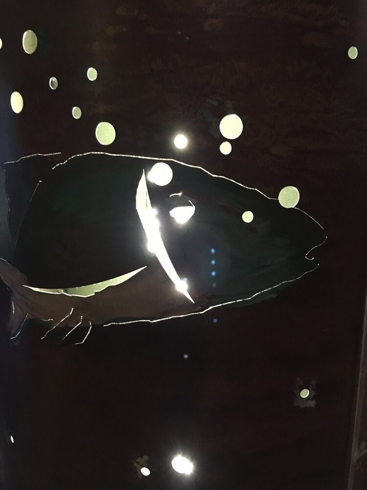 Coho environmental detail 2
